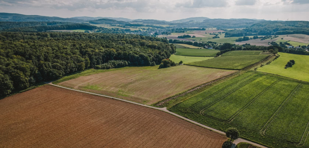 Группа Компаний «РМ АГРО»