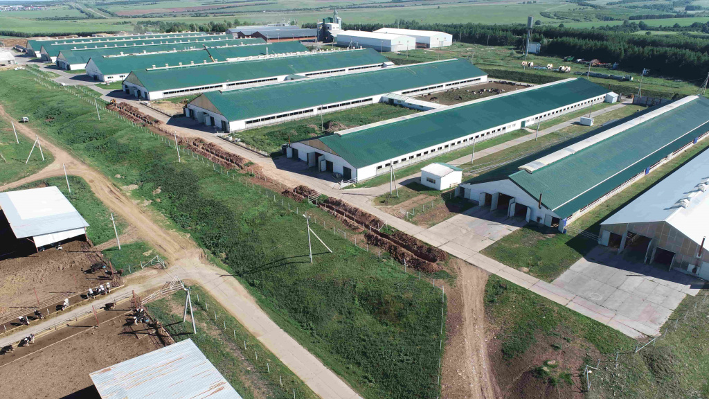 Строительство животноводческих комплексов и зернохранилищ