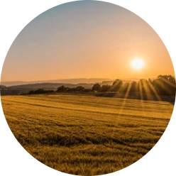 46 000 гектар земельный банк